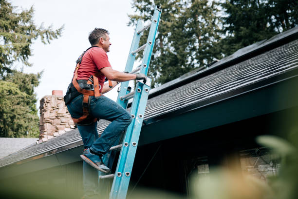 Best Skylights  in Toccoa, GA